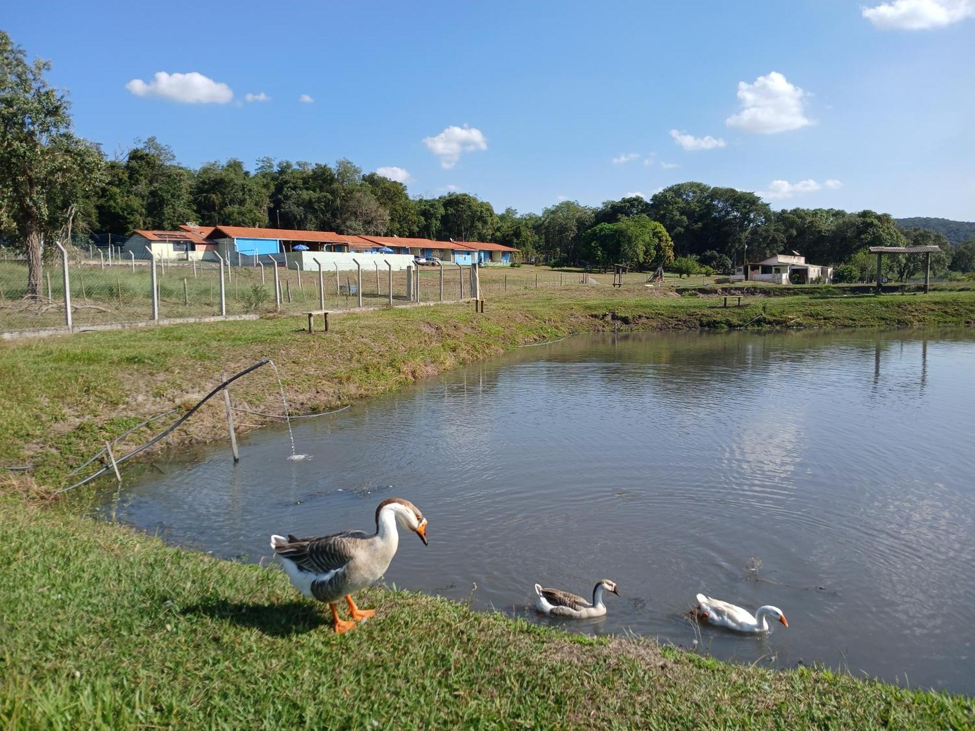 Hotel Fazenda Recanto Do Monte Alegre 皮拉茹 外观 照片