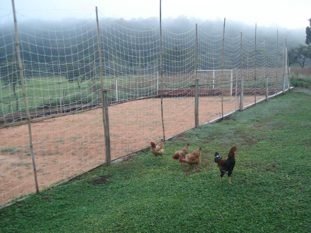 Hotel Fazenda Recanto Do Monte Alegre 皮拉茹 外观 照片