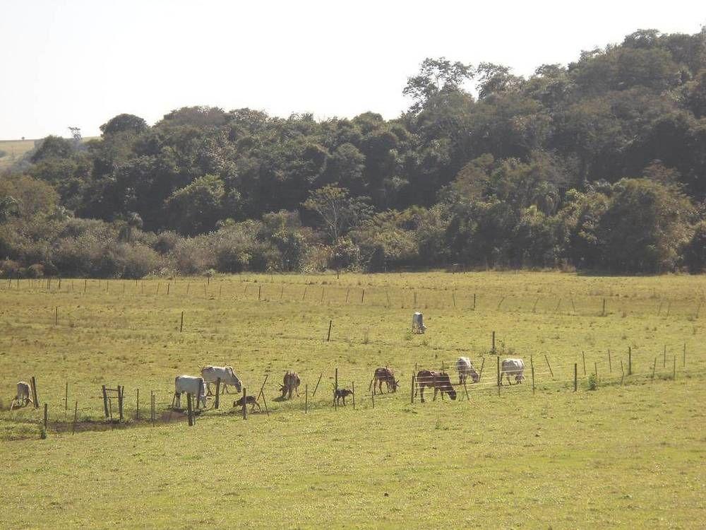 Hotel Fazenda Recanto Do Monte Alegre 皮拉茹 外观 照片