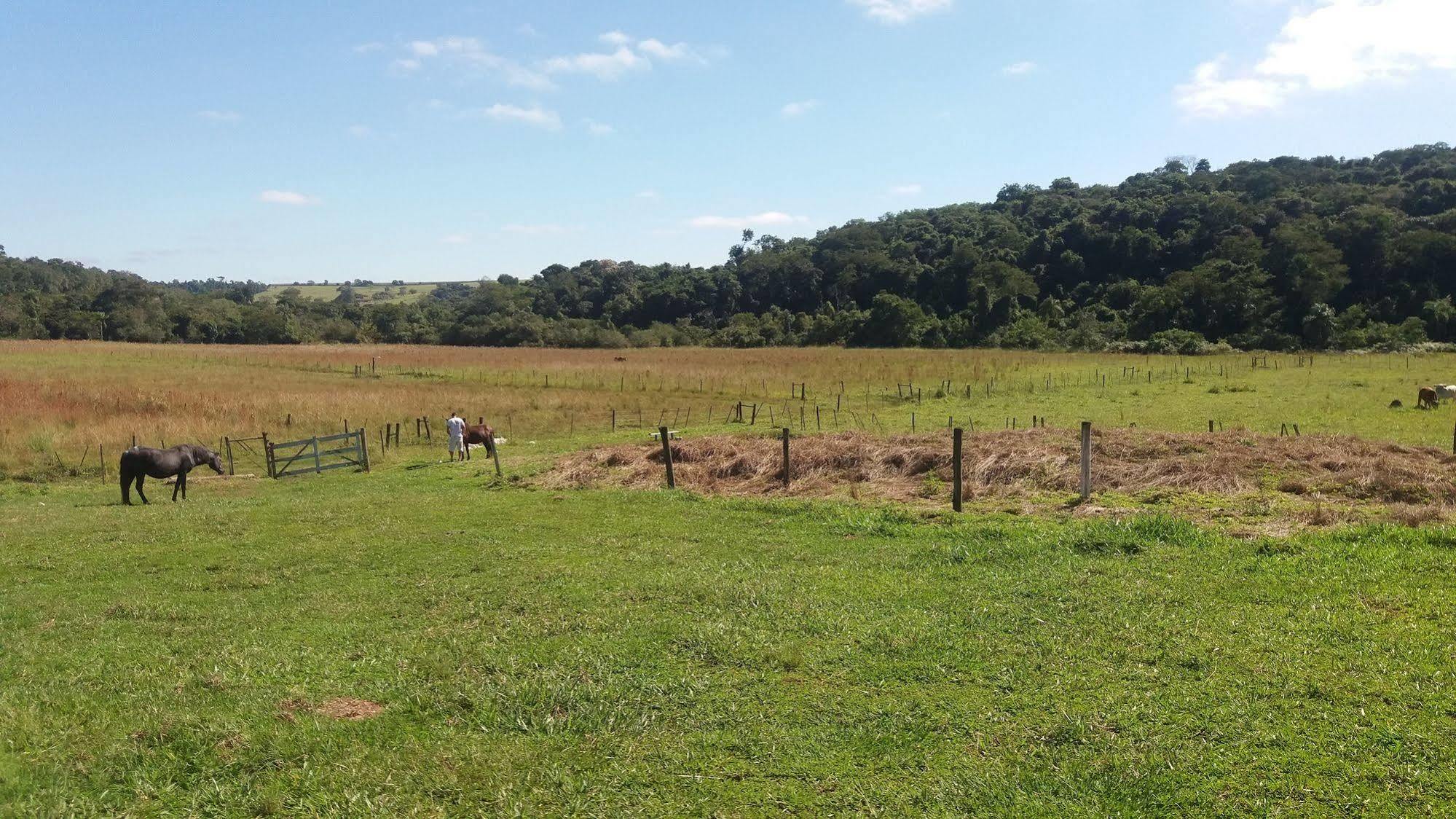 Hotel Fazenda Recanto Do Monte Alegre 皮拉茹 外观 照片